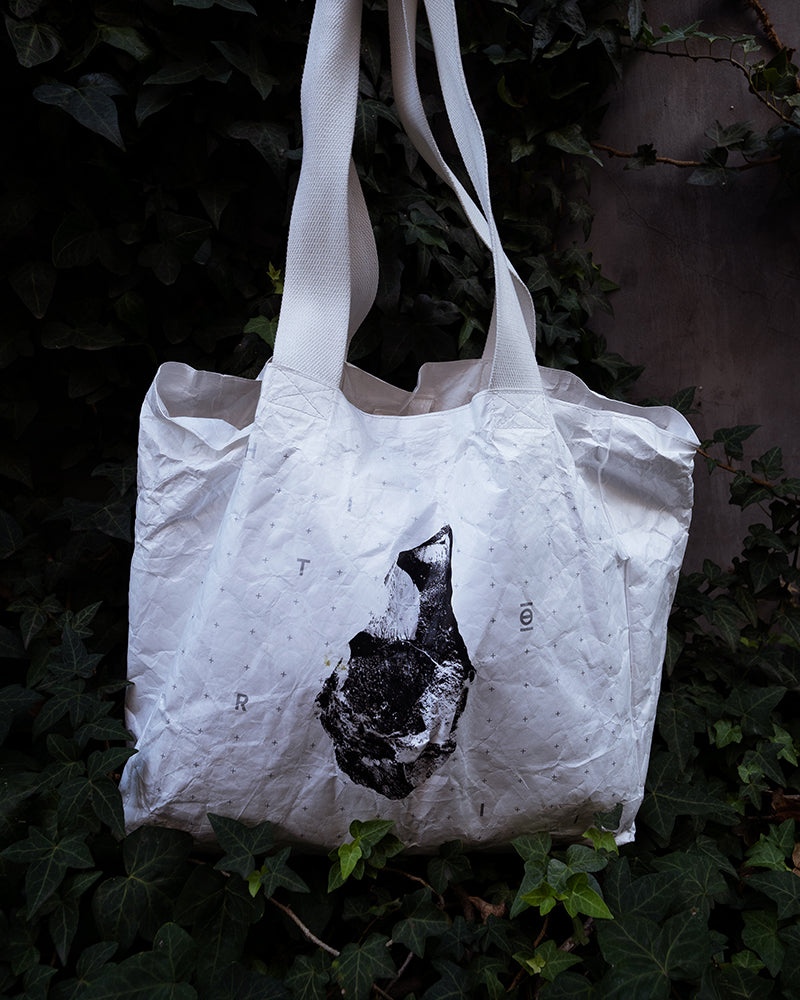 Compartment Tote | Tyvek