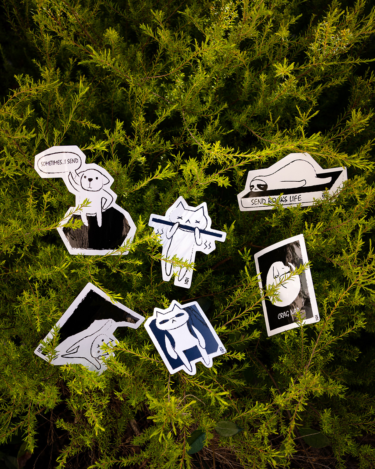 Climbing Stickers