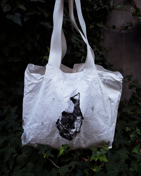 Compartment Tote | Tyvek