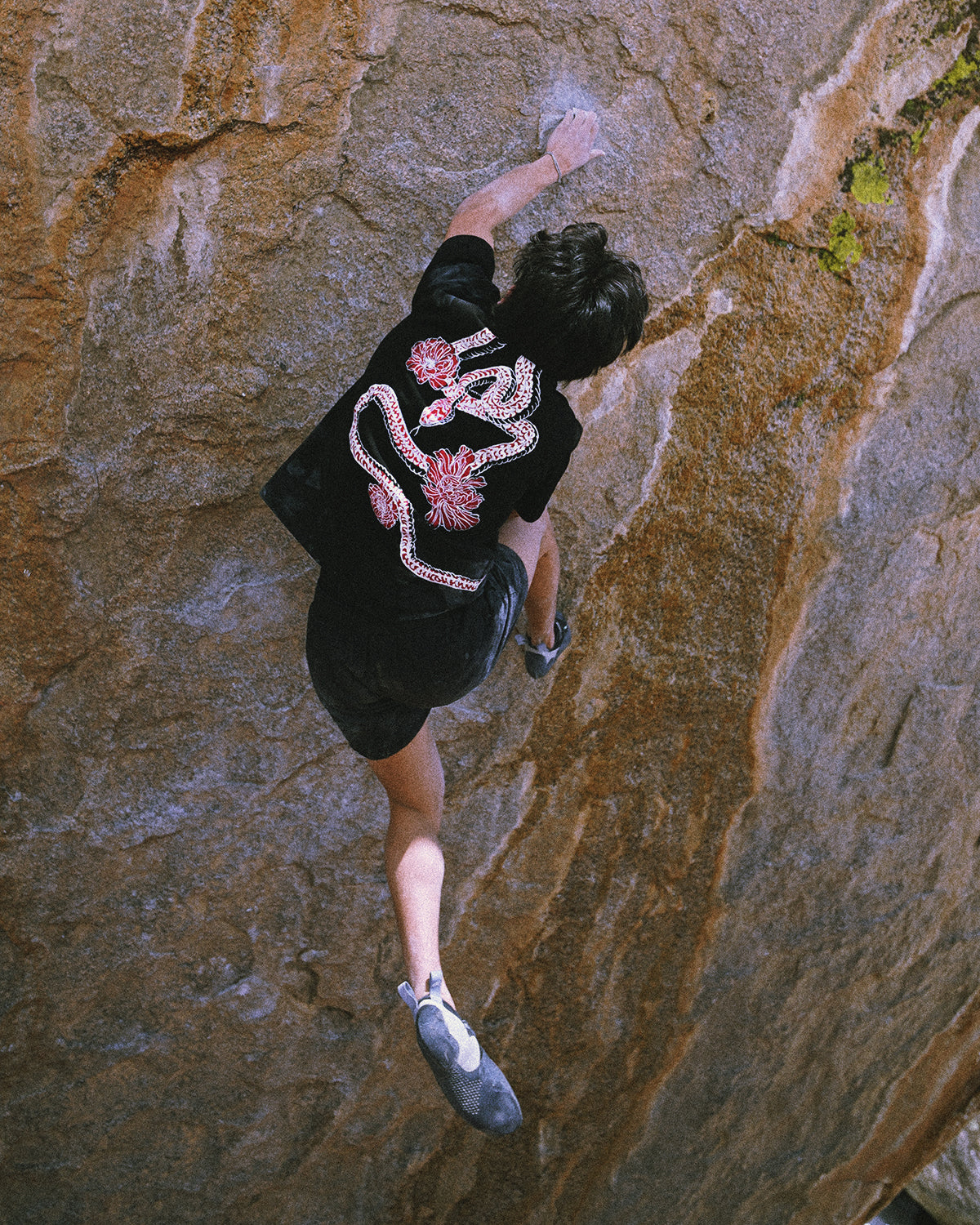 Year of the Snake | Oversized Tee | Black x Red